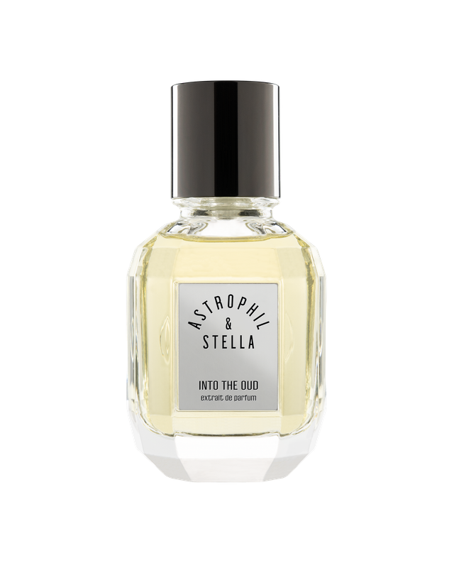 Into The Oud - Astrophil & Stella