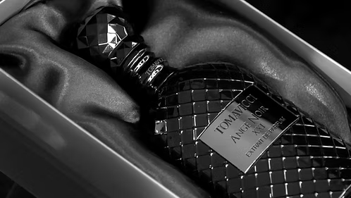 Ange Noir XXI